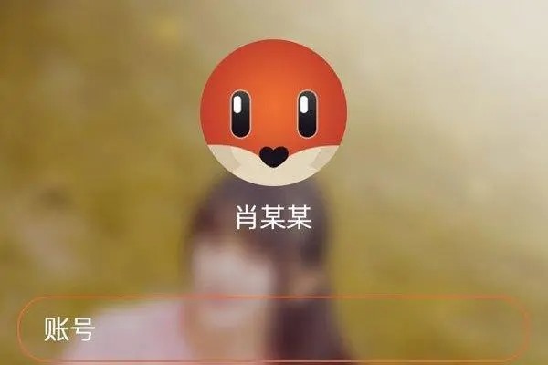 探探续费后怎么退款？